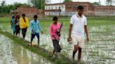 Lightning kills nearly 50 this week in India's Uttar Pradesh