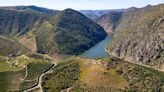 Portugal, um país vitícola sem grande tino