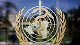 Efforts to draft a pandemic treaty falter as countries disagree on how to respond to next emergency - The Morning Sun