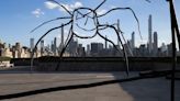 Kosovar artist's doodle sculptures take over New York's Met rooftop