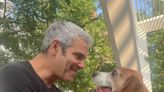 Andy Cohen reunites with his rehomed dog Wacha — see the pics!