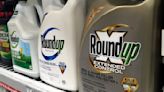 Herbicide Roundup cannot cause cancer, judge finds in landmark ruling
