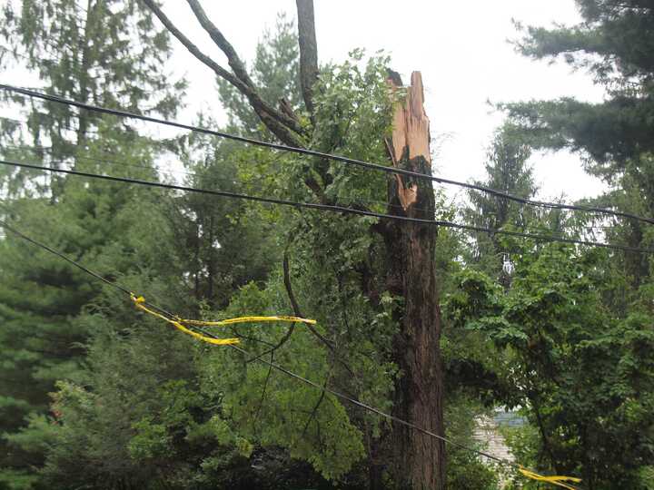 Storms, strong winds from Debby cut power to more than 9,000 in Connecticut