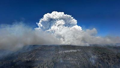 Oregon governor declares state of emergency over wildfire threat