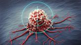 How Cancer Immunotherapy Checkpoint Inhibitors Work