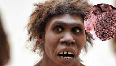 Científicos buscan ‘resucitar’ antiguos herpes hallados en huesos de neandertal