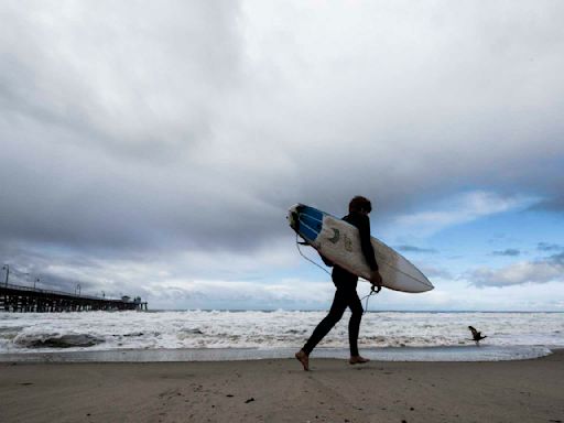 Popular California beach closed for the holiday after shark bumped surfer off his board