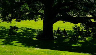 Long weekend weather: Heat waves drag on across the country