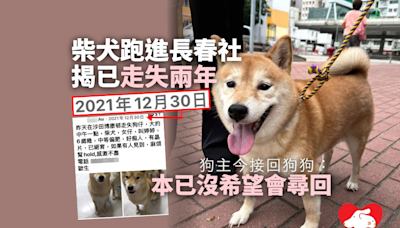 柴犬跑進長春社揭已走失兩年 狗主今接回狗狗：本已沒希望會尋回