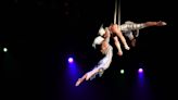 Cirque du Soleil to return to DCU Center with 'OVO'