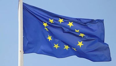 Bruselas inspecciona por sorpresa una empresa de seguridad por sospechas de subsidios extranjeros ilegales
