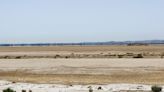 Changing climate pushes migrating birds from parched Tunisian wetlands