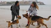 Los perros disfrutan de su última jornada en San Lorenzo ante el inicio de la temporada de baños