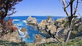 Point Lobos State Natural Reserve