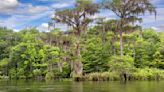 Florida swamp volcano mystery leaves scientists baffled