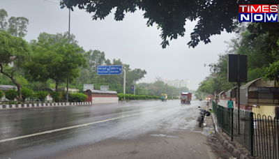 Delhiites Bask In Heavy Rain And Dark Cloud Cover; Here's What IMD's Weekly Forecast Says