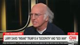 Larry David Goes Scorched Earth on ‘Sociopath’ Trump With Chris Wallace: ‘He Knows He Lost!’