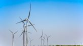 A ranch owner reveals how wind turbines saved his farm: 'I always say that wind farming is my best cash crop'