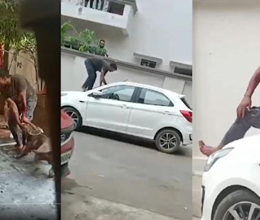 Latest News Today Live Updates July 21, 2024: Pitbull dogs attack delivery man in Chhattisgarh's Raipur, horrifying video goes viral