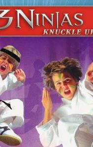 3 Ninjas Knuckle Up