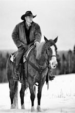 Lone cowboy in horse editorial stock photo. Image of roundup - 36766723