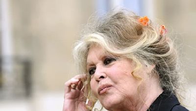 "Il a été prisonnier chez lui": Brigitte Bardot revient sur les derniers mois d'Alain Delon avant sa mort