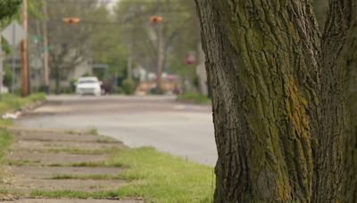 Operation Education: South Bend schools, colleges help support major urban forest project