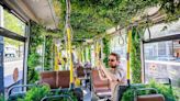 Free trees and green garlands: How Antwerp is encouraging residents to be urban gardeners