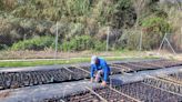 Un proyecto europeo pone en marcha un vivero en Quart de Poblet