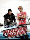 Angry Boys