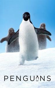 Penguins