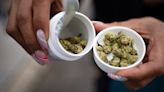 US, Canadian pot firms eye Germany for growth as market stagnates at home