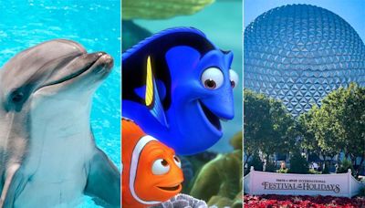 Disney World removing all live dolphins from Epcot's “Finding Nemo” attraction, 'prioritizing the wellbeing' of animals