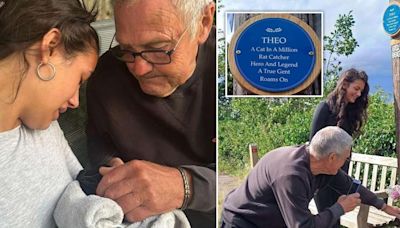 Village unveils a blue plaque for 'famous' cat killed by a car