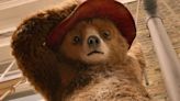 Everything you need to know about Paddington 3