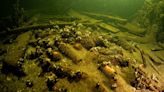 175-Year-Old Bottles Of Champagne Discovered By Polish Divers In A Shipwreck