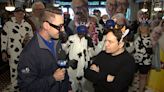 Holy cow! Toast to Harry Caray kicks off in Chicago with star-studded line-up, live cows
