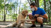 Man reveals the ‘incredible’ mask his wife made for dog to protect pet from wildfire smoke