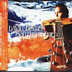 (甲上唱片) David Boyles - Southern Fried  - 日盤