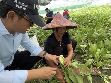 凱米颱風重創雲林要加速補償 劉建國邀請農糧署現勘災損 | 蕃新聞