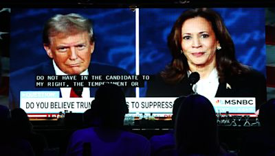 She had him at the word 'rallies.': Trump takes the bait, Kamala Harris takes him apart