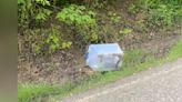 Driver Notices Plastic Bin On Side Of Road And Decides To Take A Closer Look