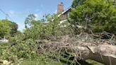 Cleanup efforts underway in Louisville as thousands remain without power after storm