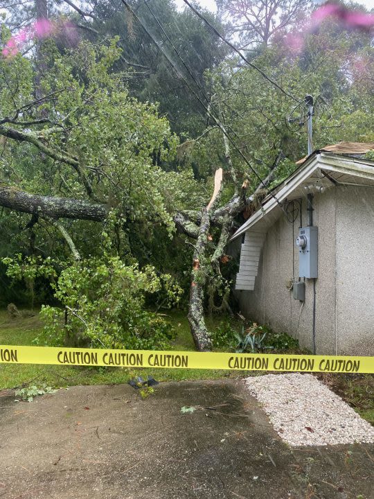 ‘The tree went through the bed’ in a Brunswick woman’s home