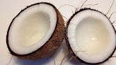 Producción de coco es resistente a la sequía; puede usarse hasta para combustible