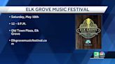 Elk Grove gears up for its first-ever music festival