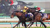 Japanese Derby: Undefeated Justin Milano Tops Field Of 18