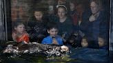 Oldest Monterey Bay Aquarium sea otter Rosa dies at age 24