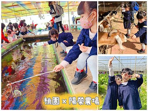 釣蝦樂、拔菜趣，一日農夫體驗～桃園陽榮生態農場