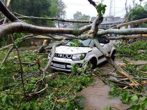 Cyclone Remal Impact In Assam: Student Among Others Killed In Heavy Rains; Red Alert Issued In 10 Districts